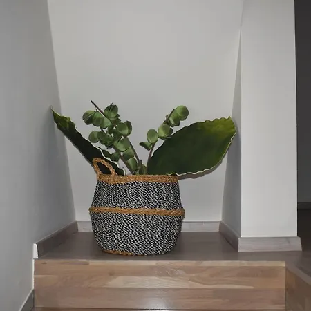 Apartment Gallery Art Chania Crete Chania (Crete)